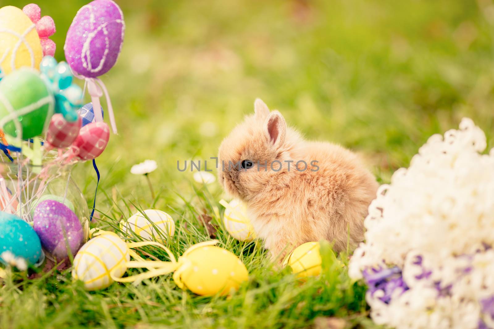 Cute little bunny with flowers and Easter eggs on the grass in spring holidays.