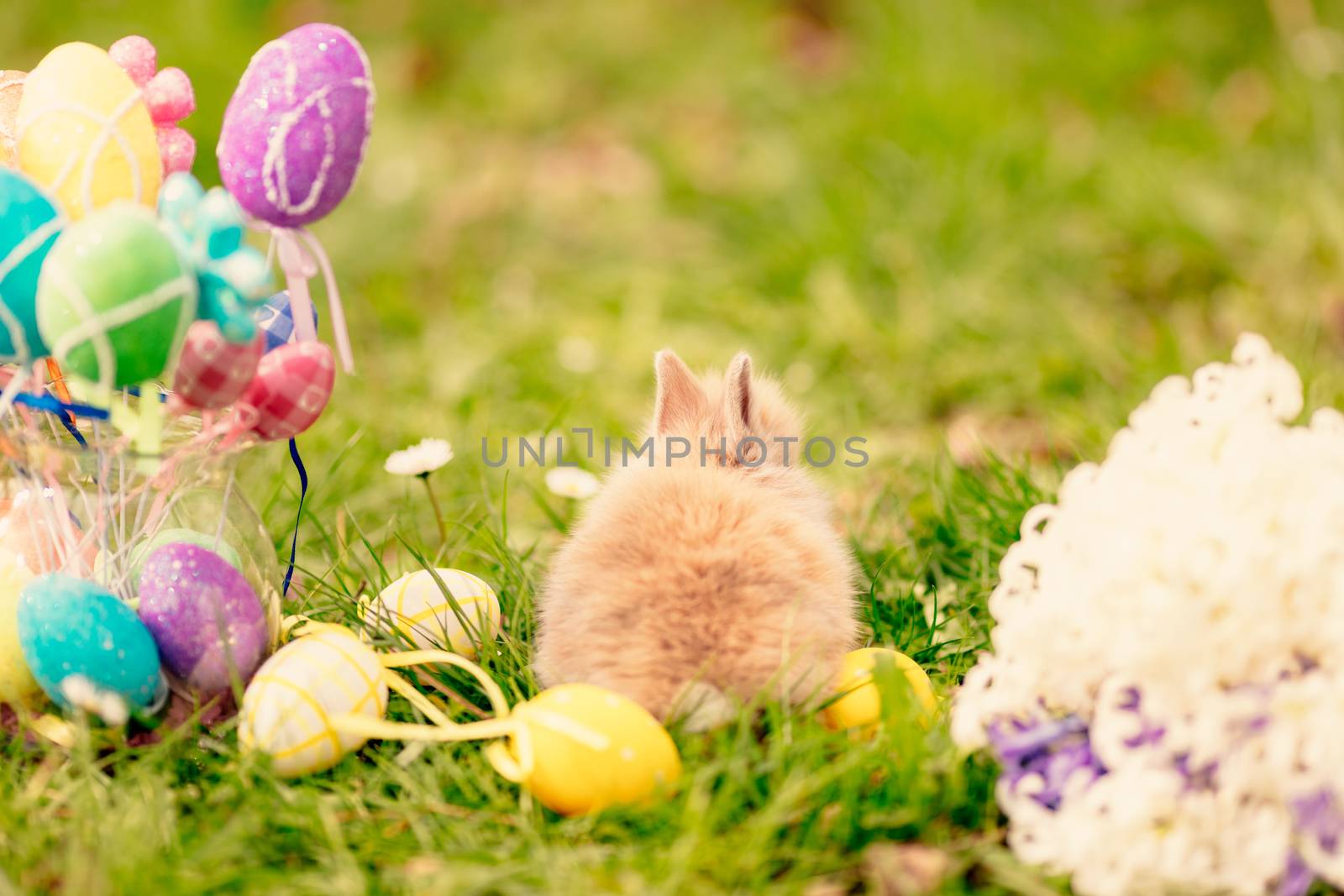 Cute little bunny with flowers and Easter eggs on the grass in spring holidays.