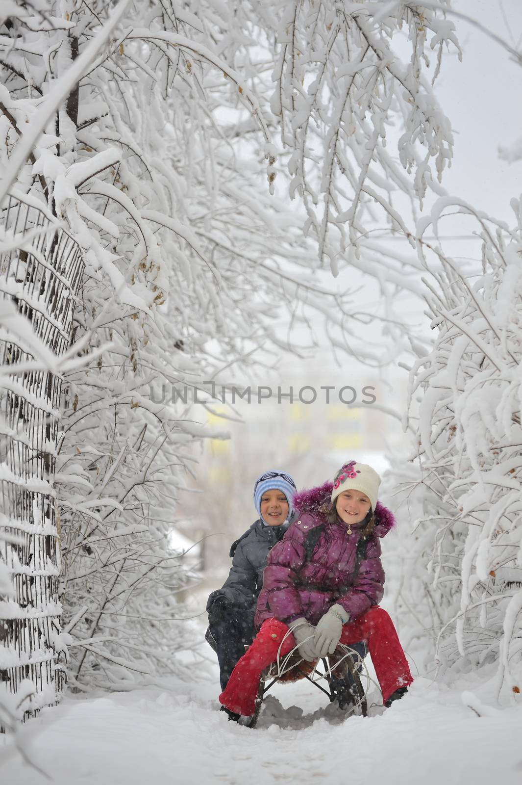 Happy children sliding in winter vacation