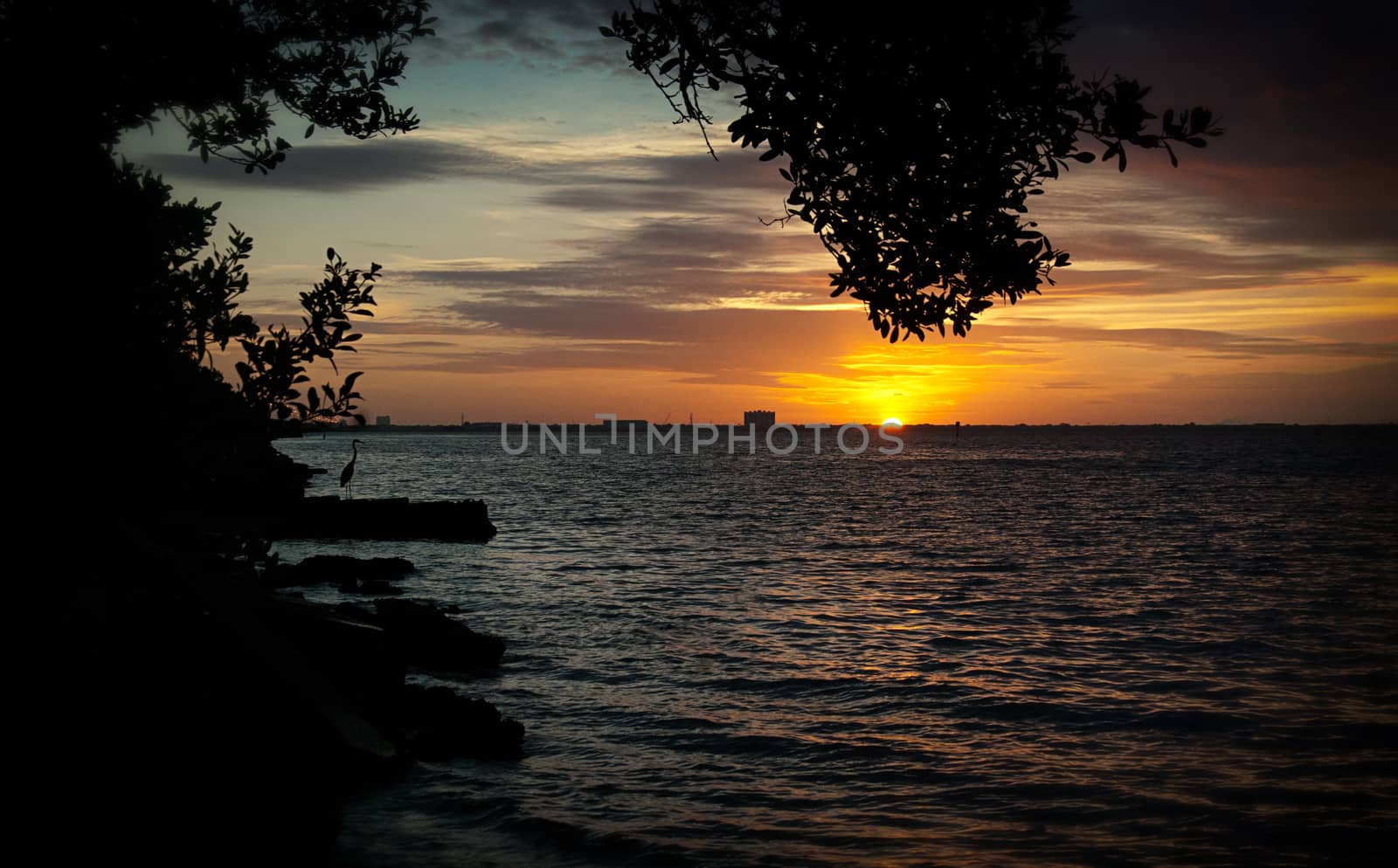 Sunrise over Tampa Bay with heron silhouette, foliage and rocks, Florida