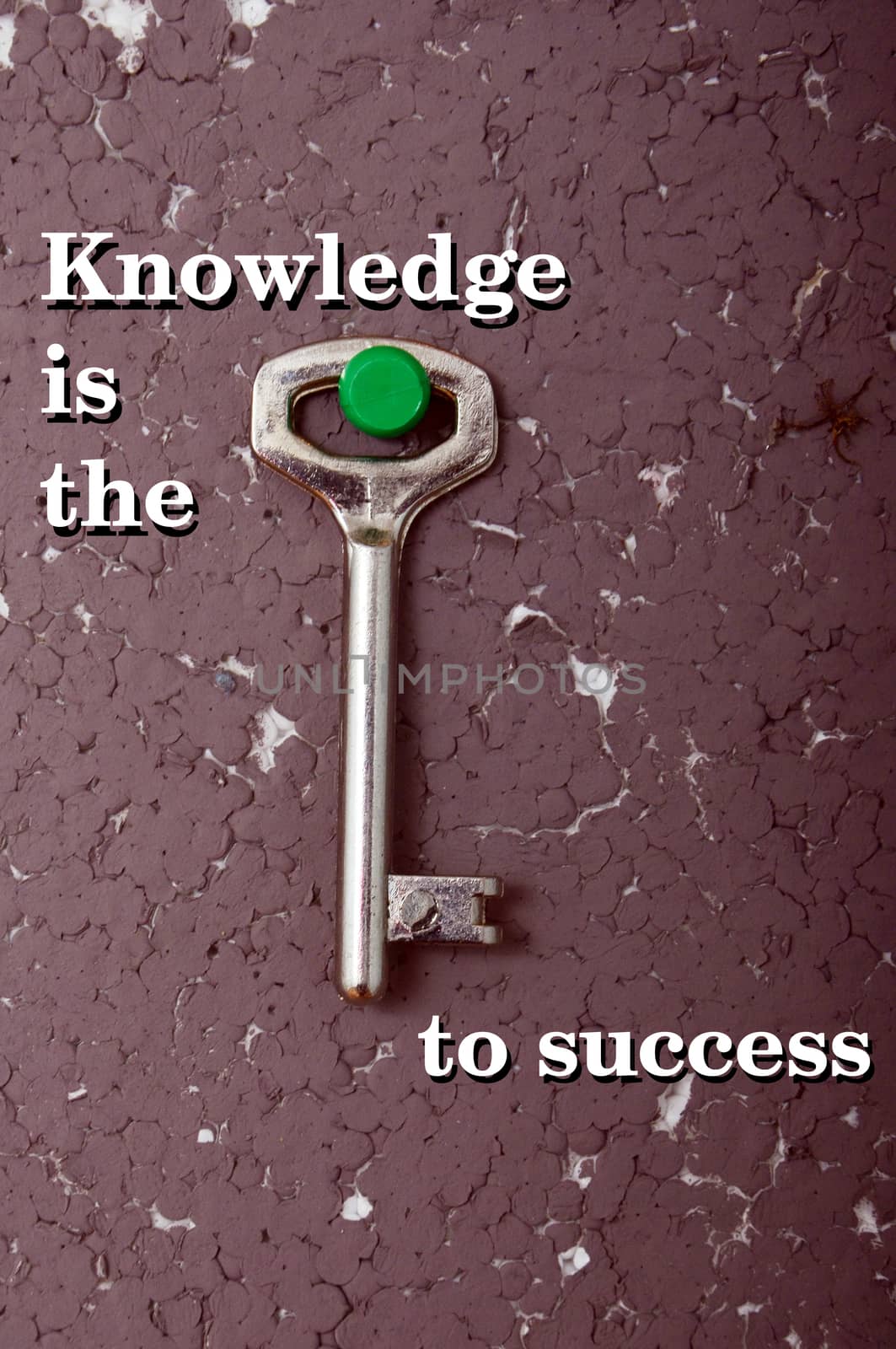 knowledge is key to sucess, key and text 
