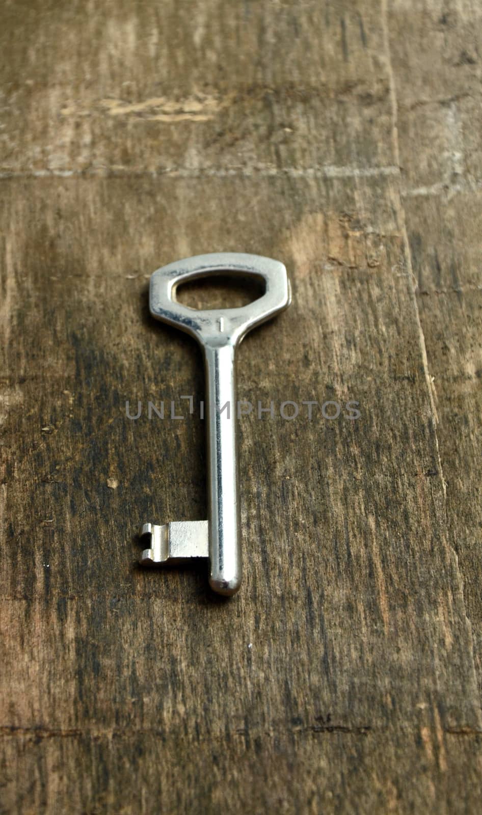 Key on a wood by nehru