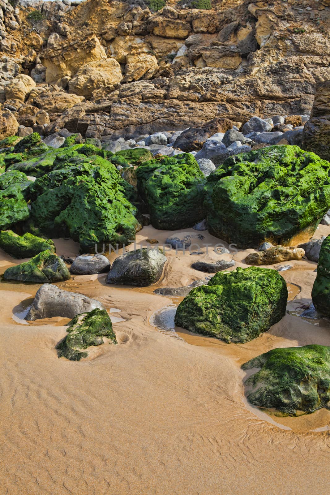 Green stones on the seashore