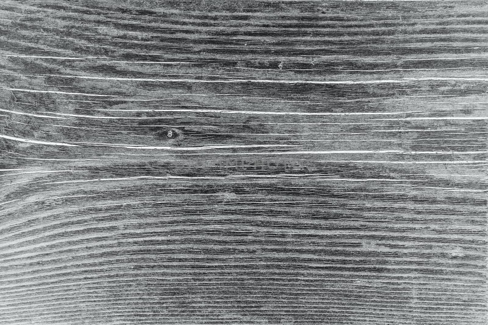 Wooden line texture. Surface of wood texture with natural pattern. Grunge plank wood texture background. Black and white photography