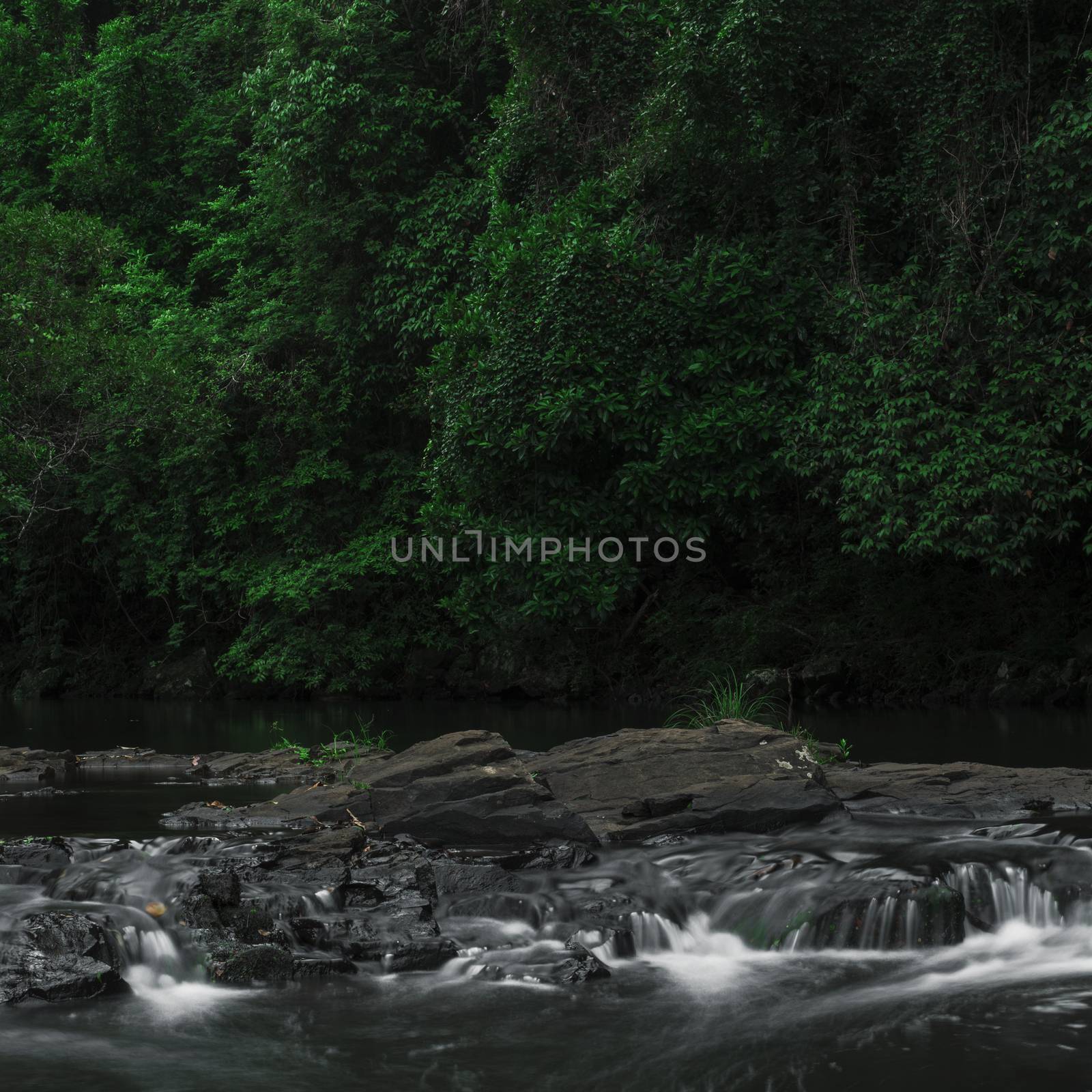 Beautiful and tranquil Gardners Falls in Maleny, Sunshine Coast