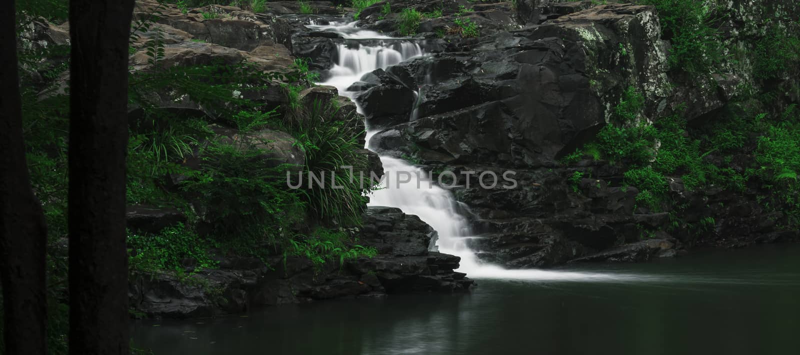 Beautiful and tranquil Gardners Falls in Maleny, Sunshine Coast