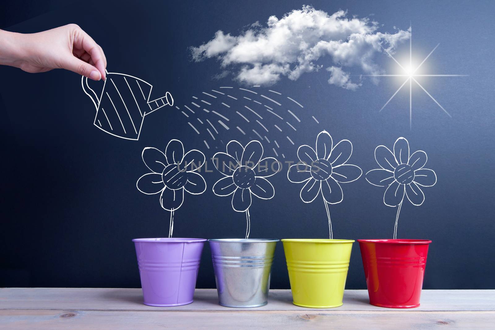 Chalkboard sketch of spring daisies inside flower pots being watered