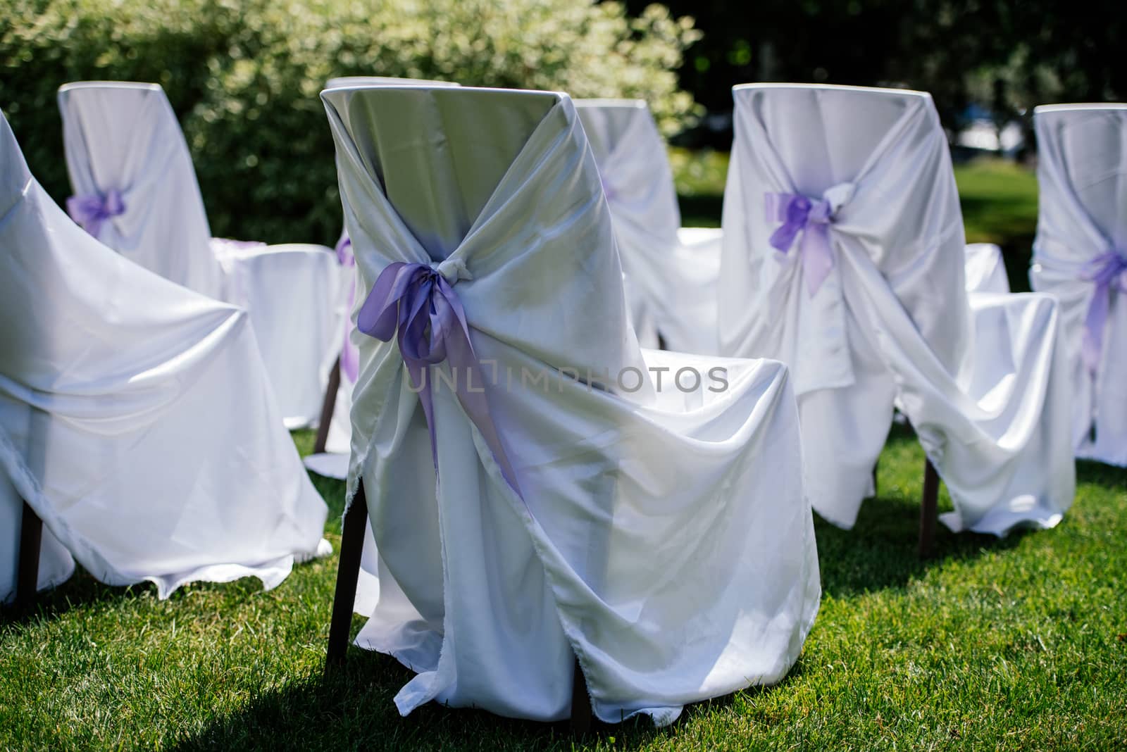 Chairs for the ceremony with white satin cape and purple ribbon on a green grass