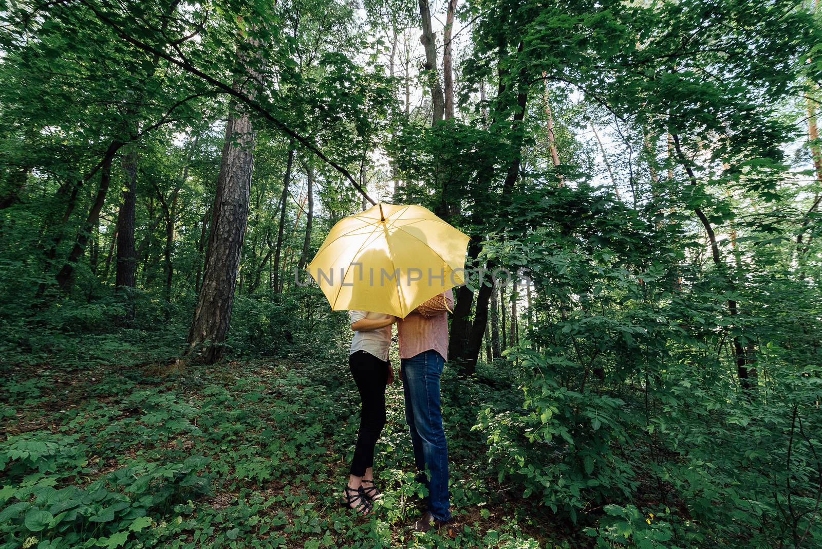 Сouple in love under a yellow umbrella in a forest