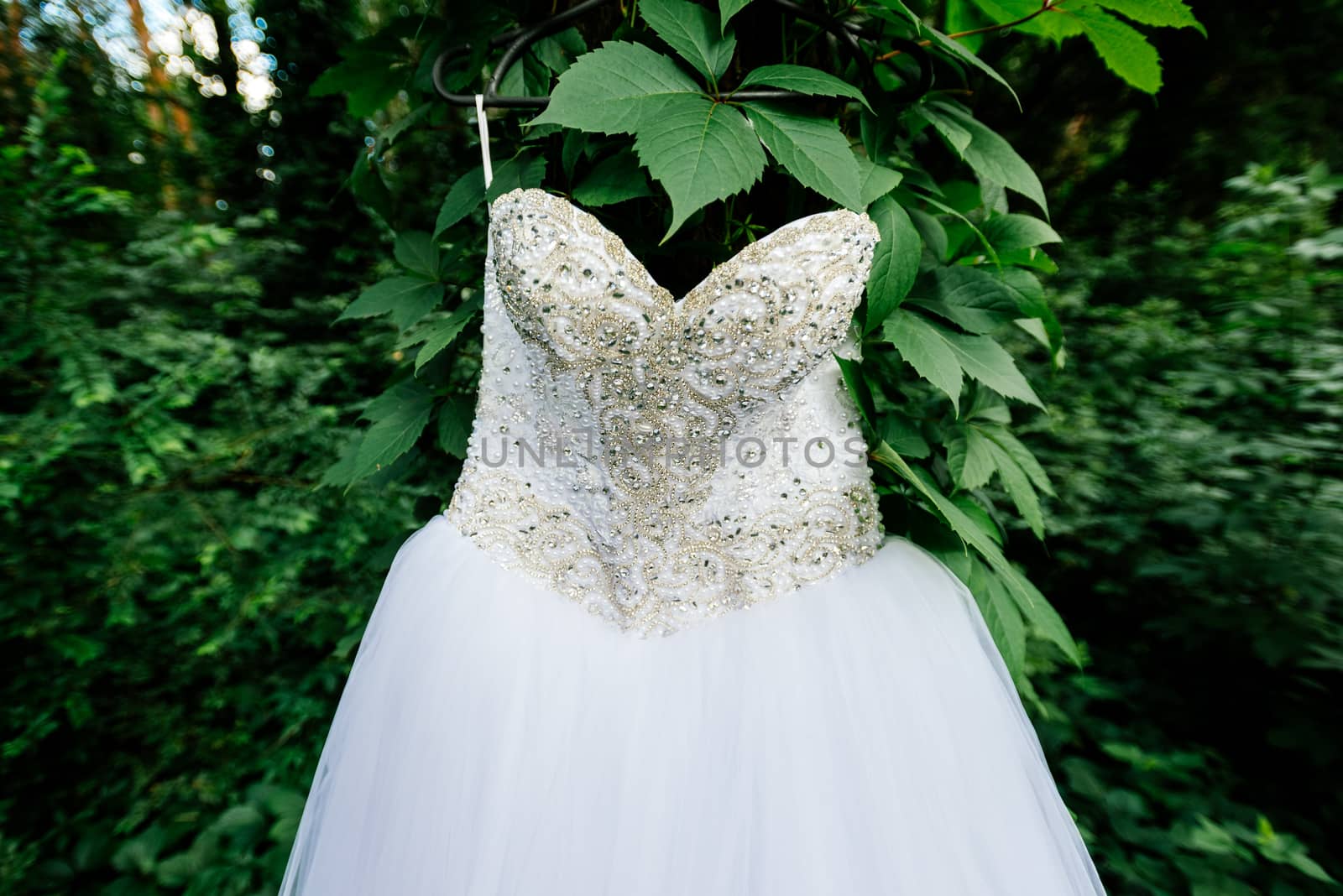 Beautiful white wedding dress hanging on a tree with ivy in sunny day. Lace top wedding dress by d_duda