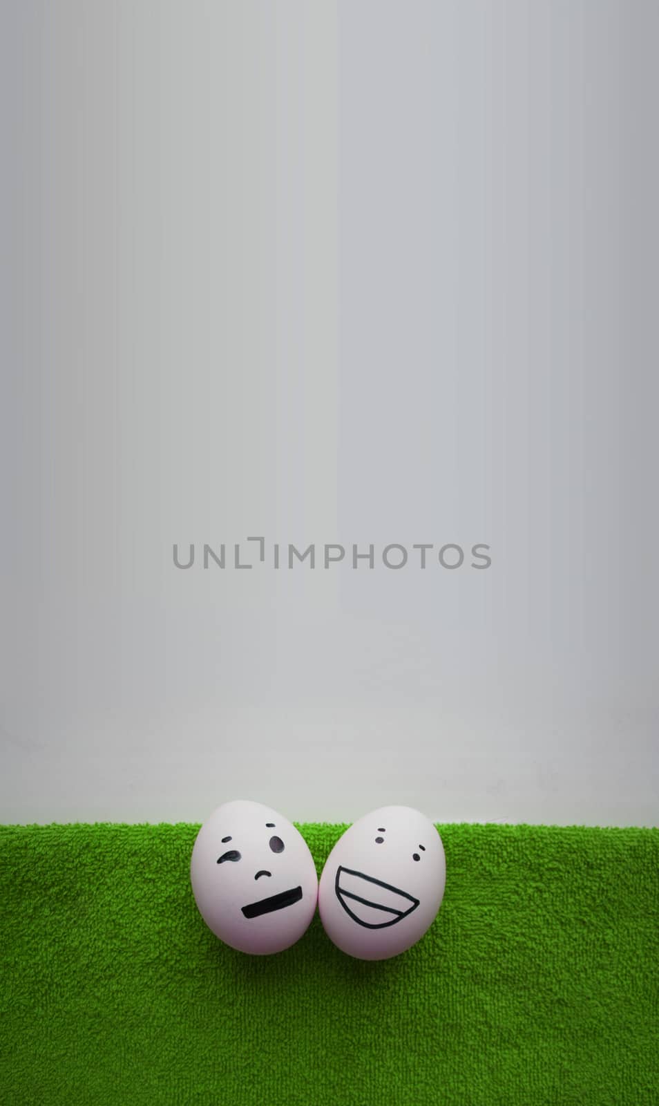 Eggs with faces photo for your design. With a place under the text. Funny and cute. Two eggs on green herbal tissue two friends