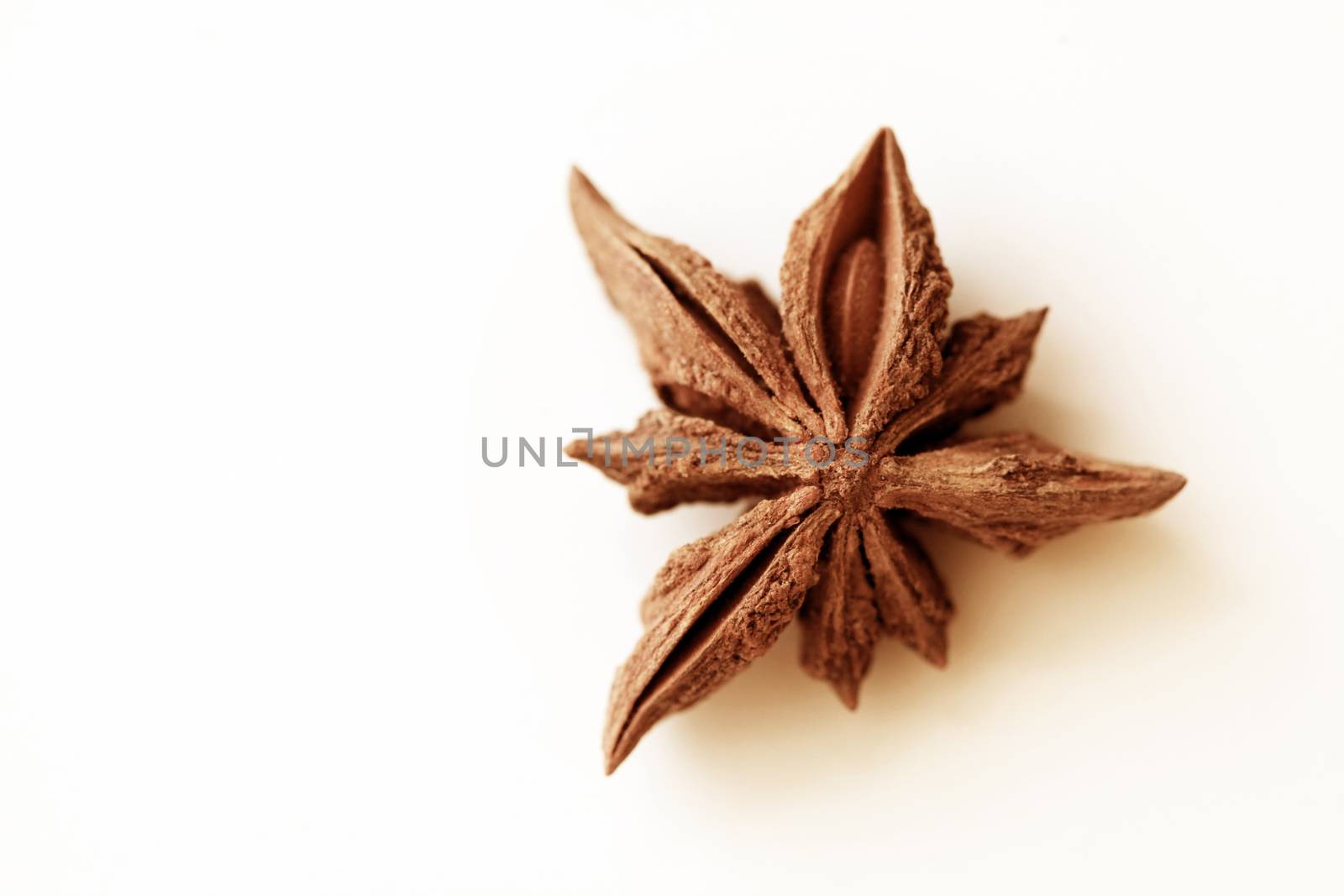 anice isolated on white background