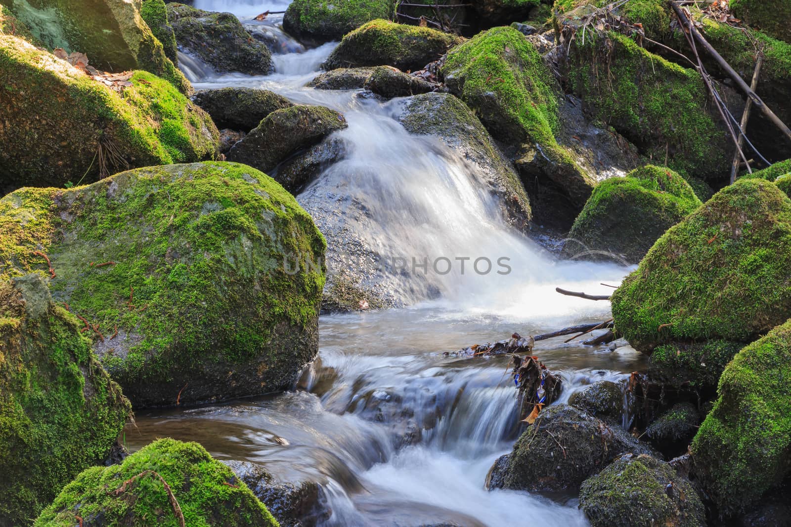 stream flowing between the stones engagement with silky of water effect