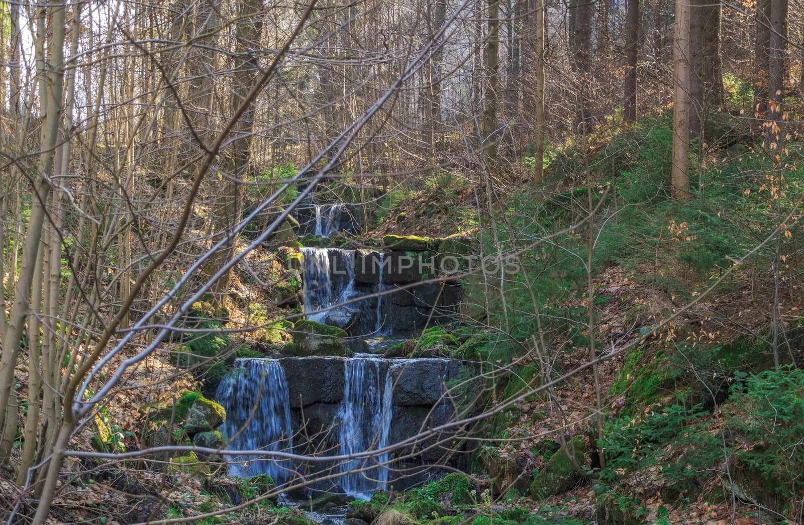 mountain stream running through the woods and cascades