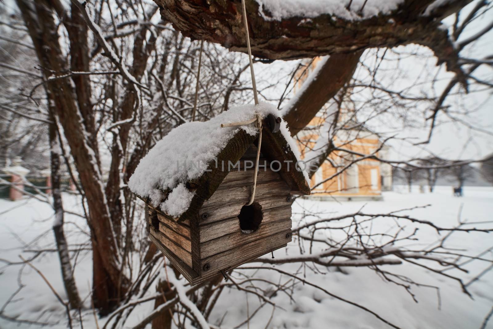 Bird house in Moscow