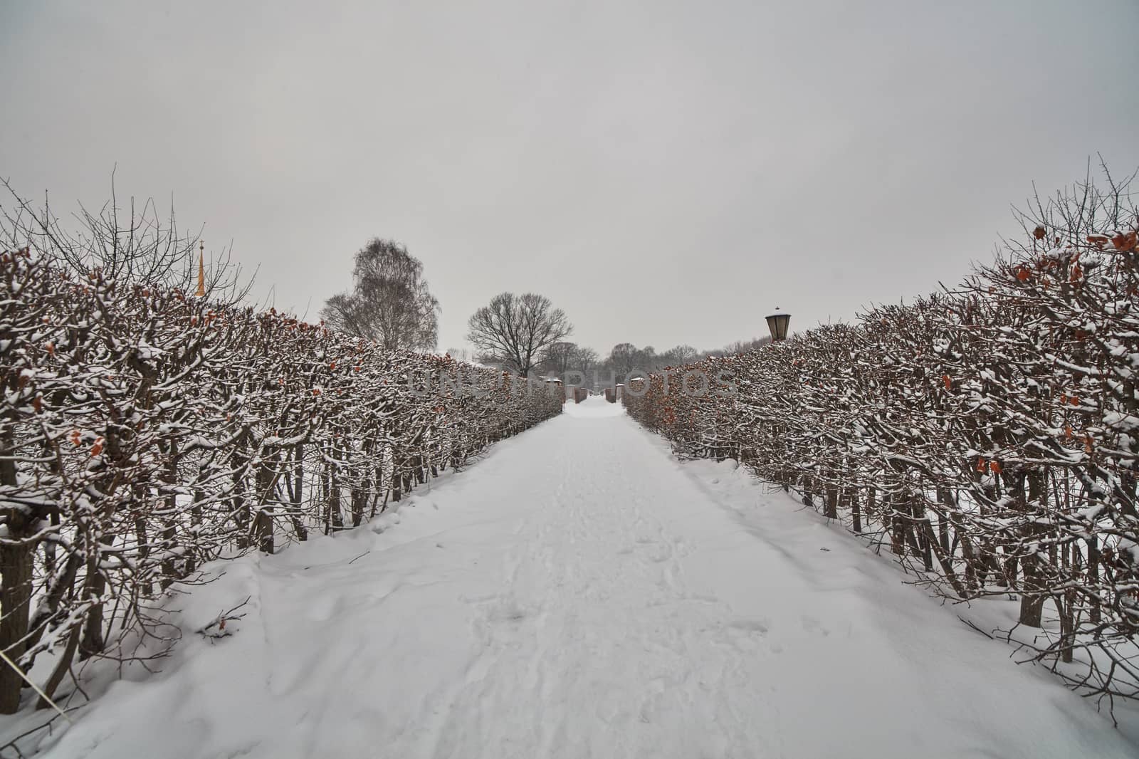 Winter road in Moscow