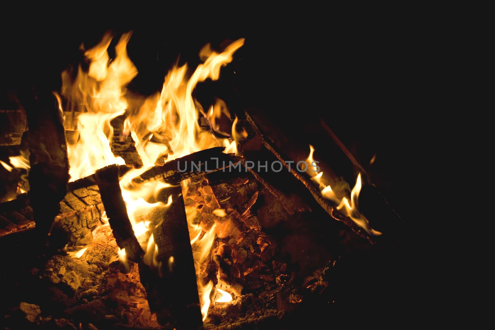 Flames of a campfire against a black background at night. 