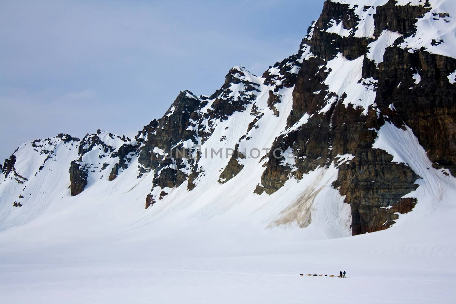 Dog Sledding with Mountains on Glacier by NikkiGensert