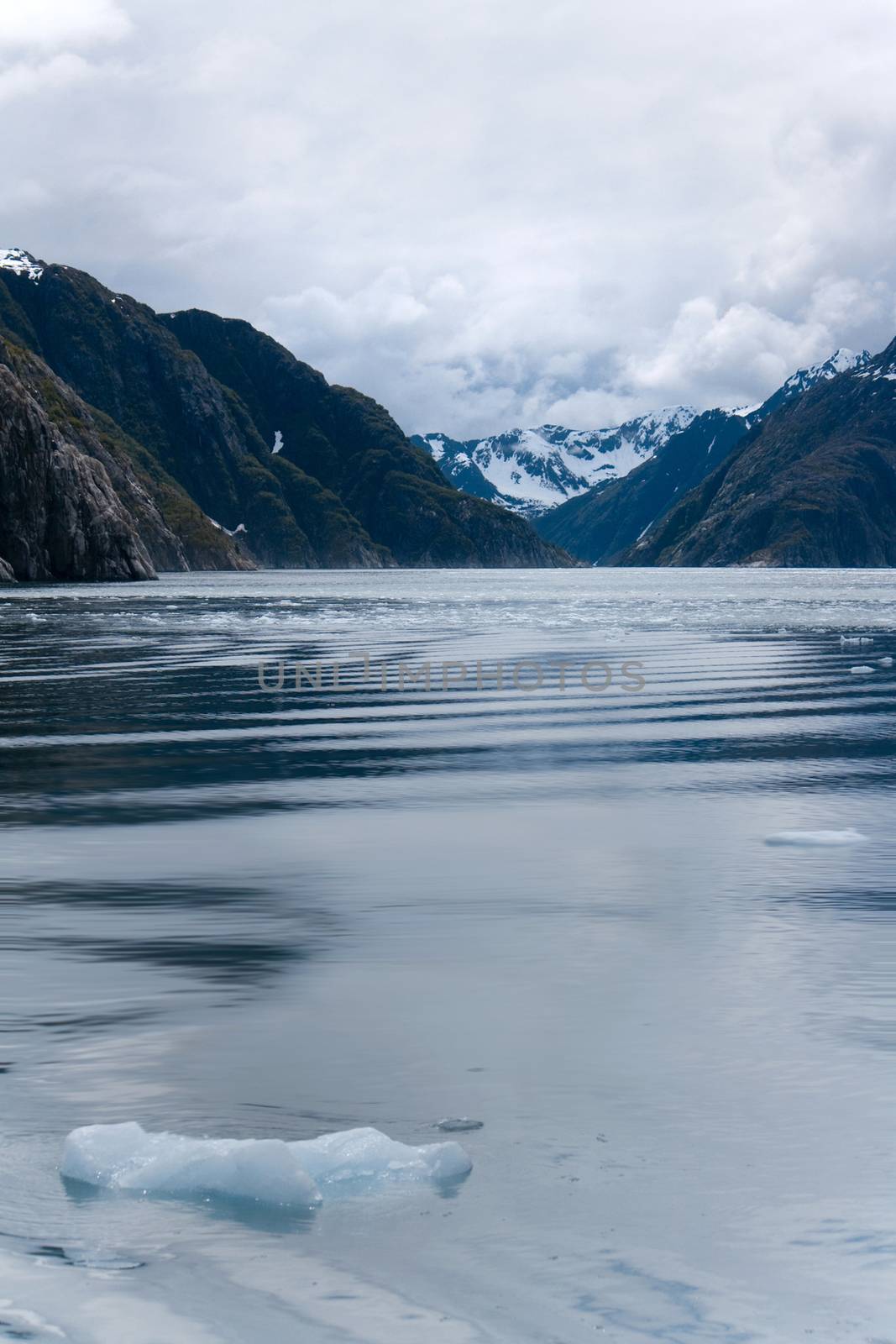 Chunks of Ice Floating in Ocean near Seward Alaska by NikkiGensert