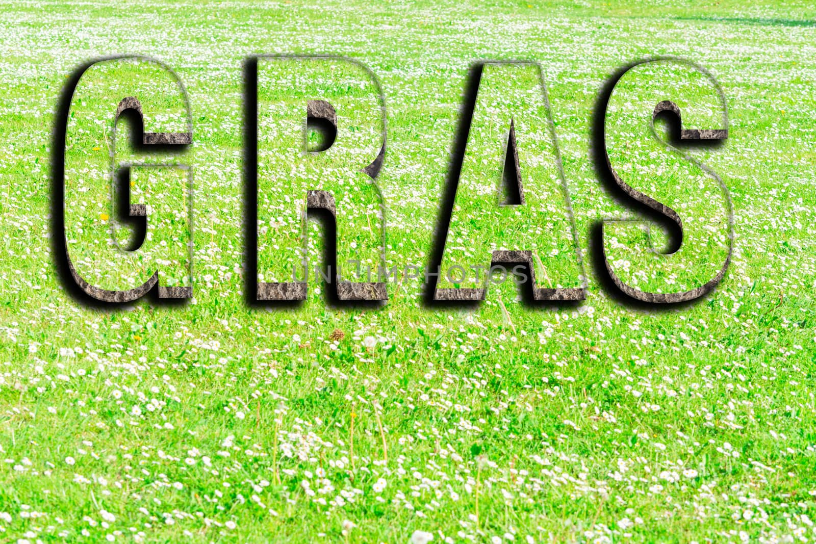 The word grass from green grass texture with shadows on a summer meadow as background.

