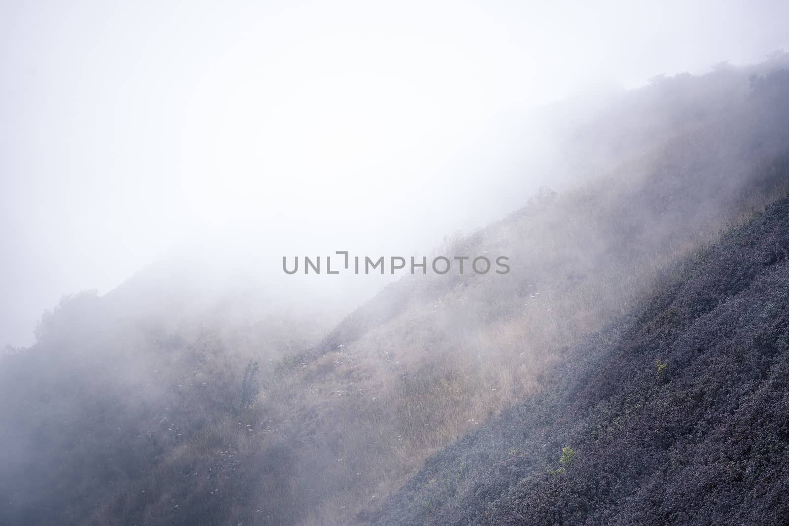 view of mountain forests covering by fog for background