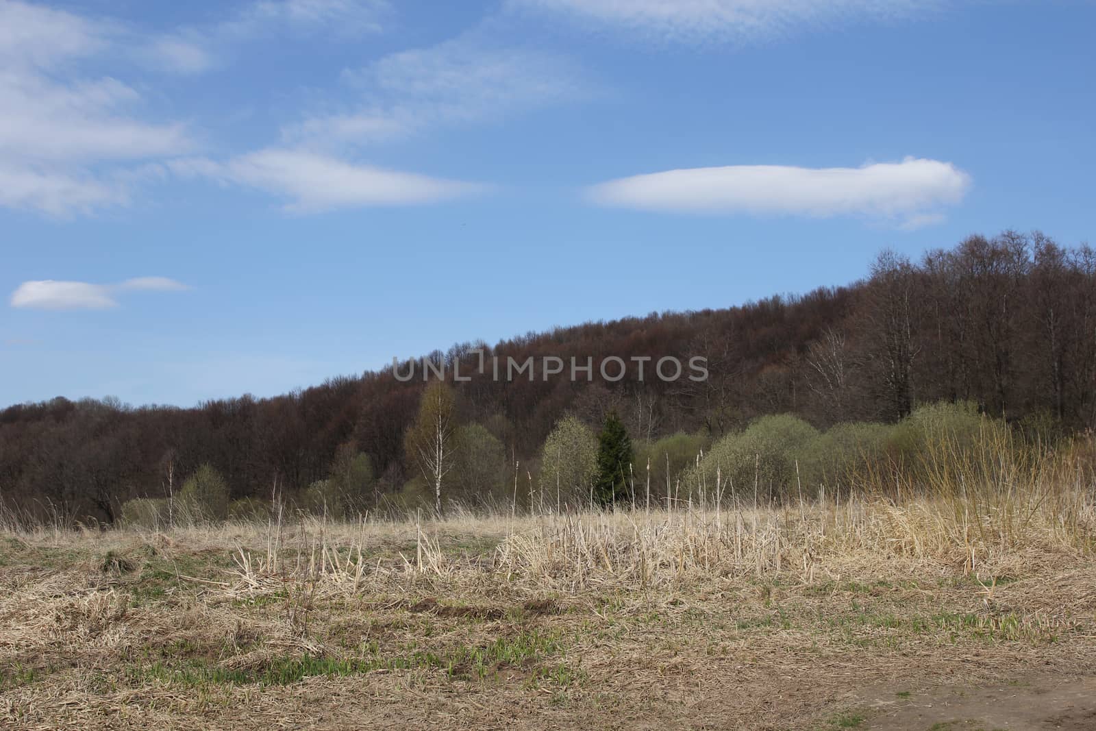 Mountains and field in the early spring on a blue sky background.