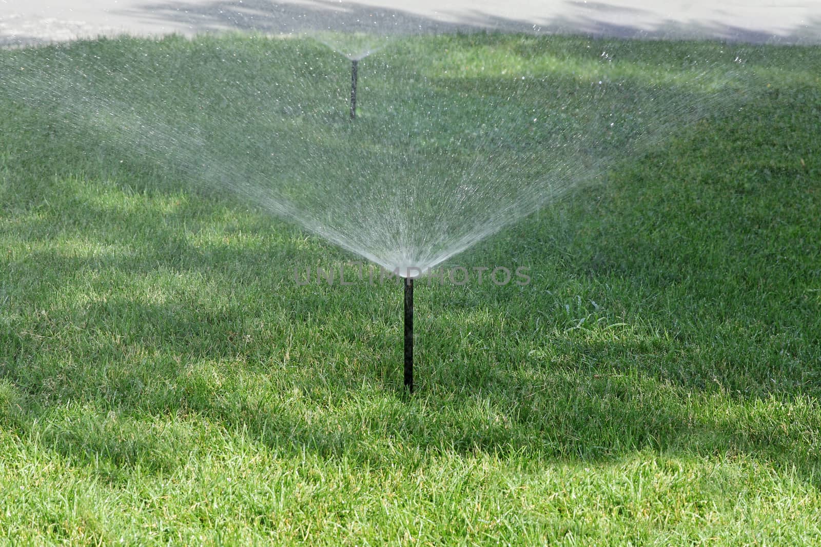 Sprinkler spraying stream of water on lush green grass