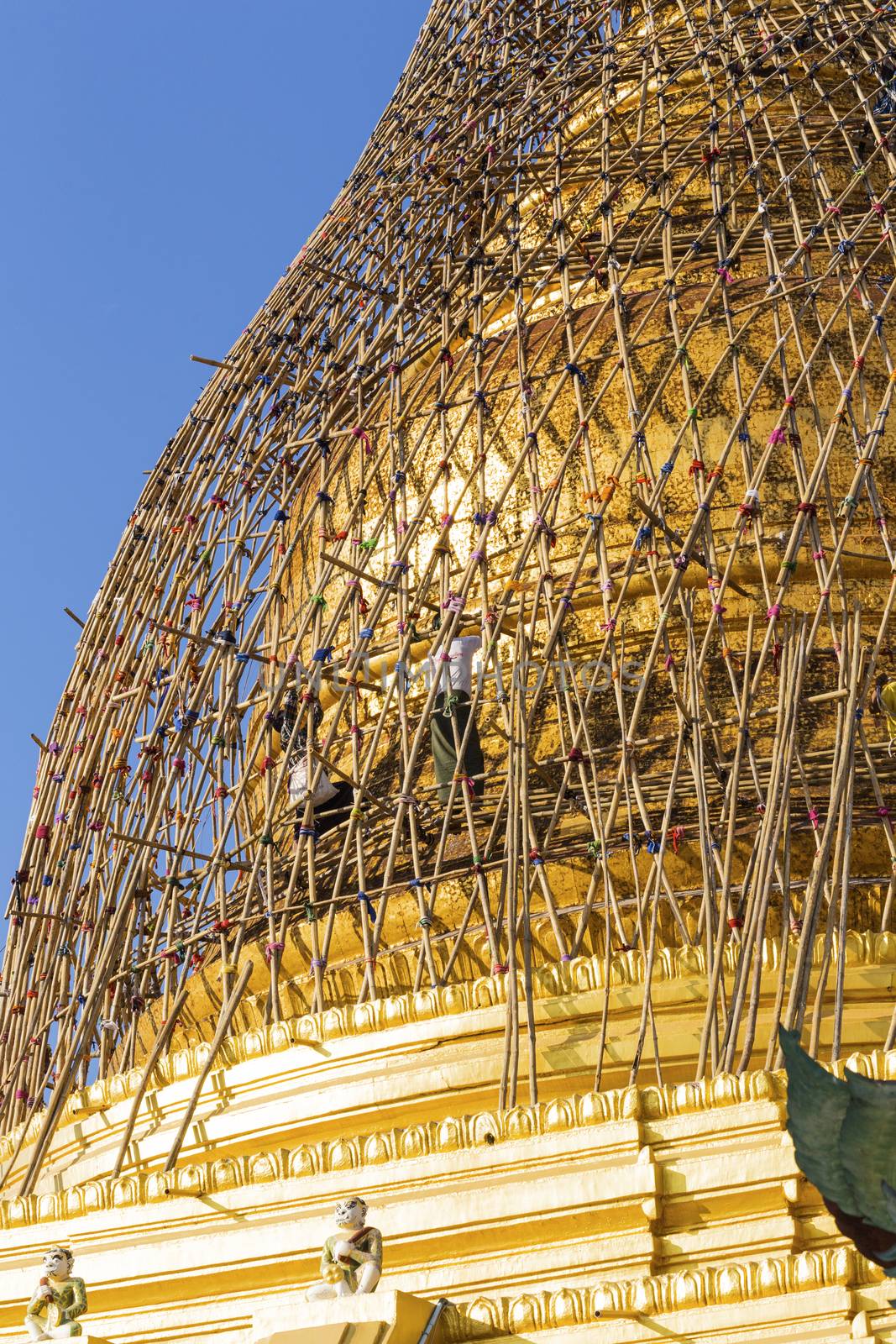 Worker repareing golden temple by cozyta