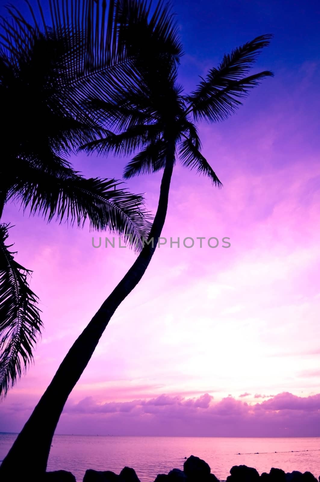 Tropical Sunrise. Beautiful Sunrise at Florida Keys, USA. Vertical Photo