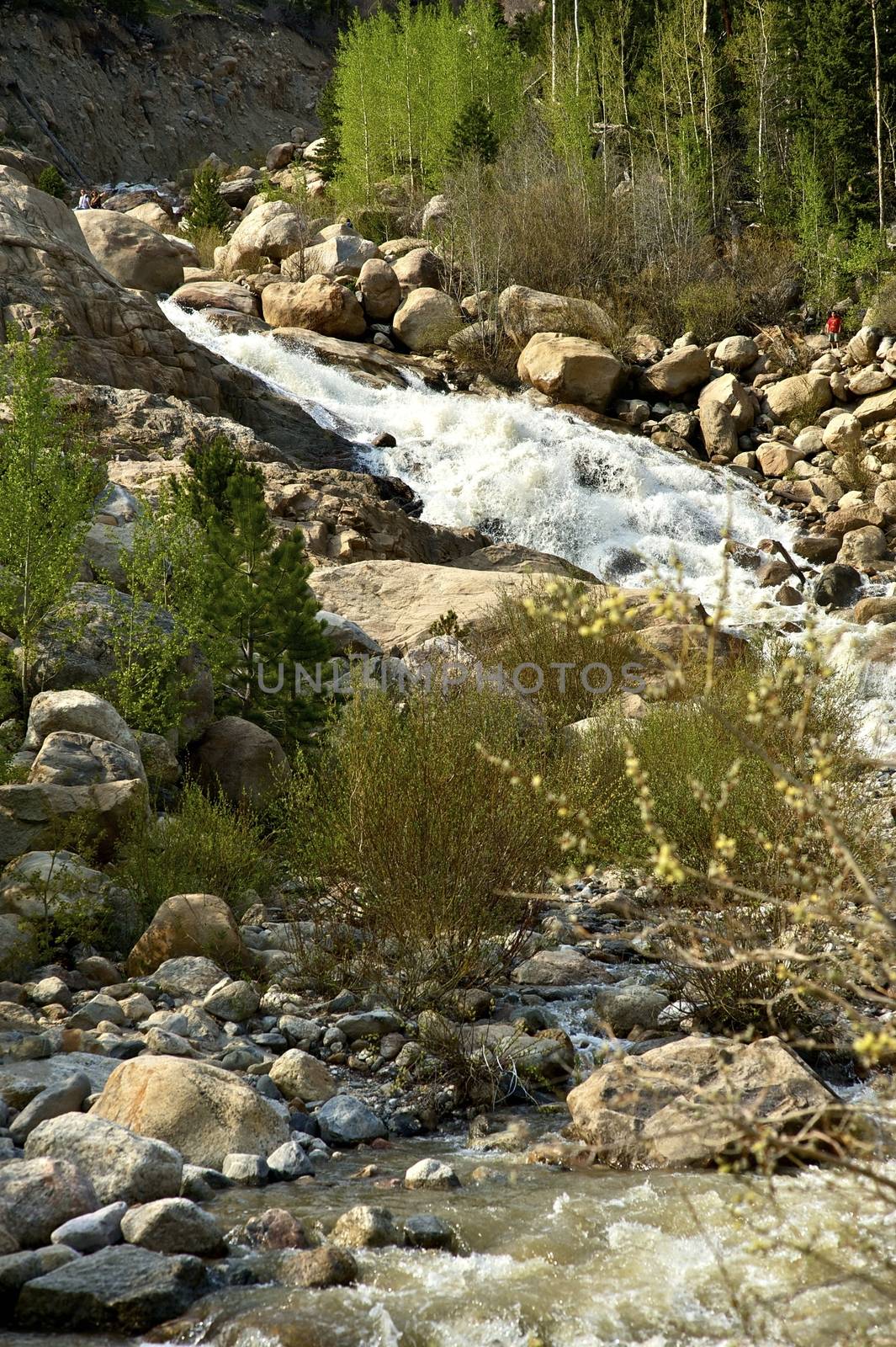 Alluvial Falls Colorado by welcomia
