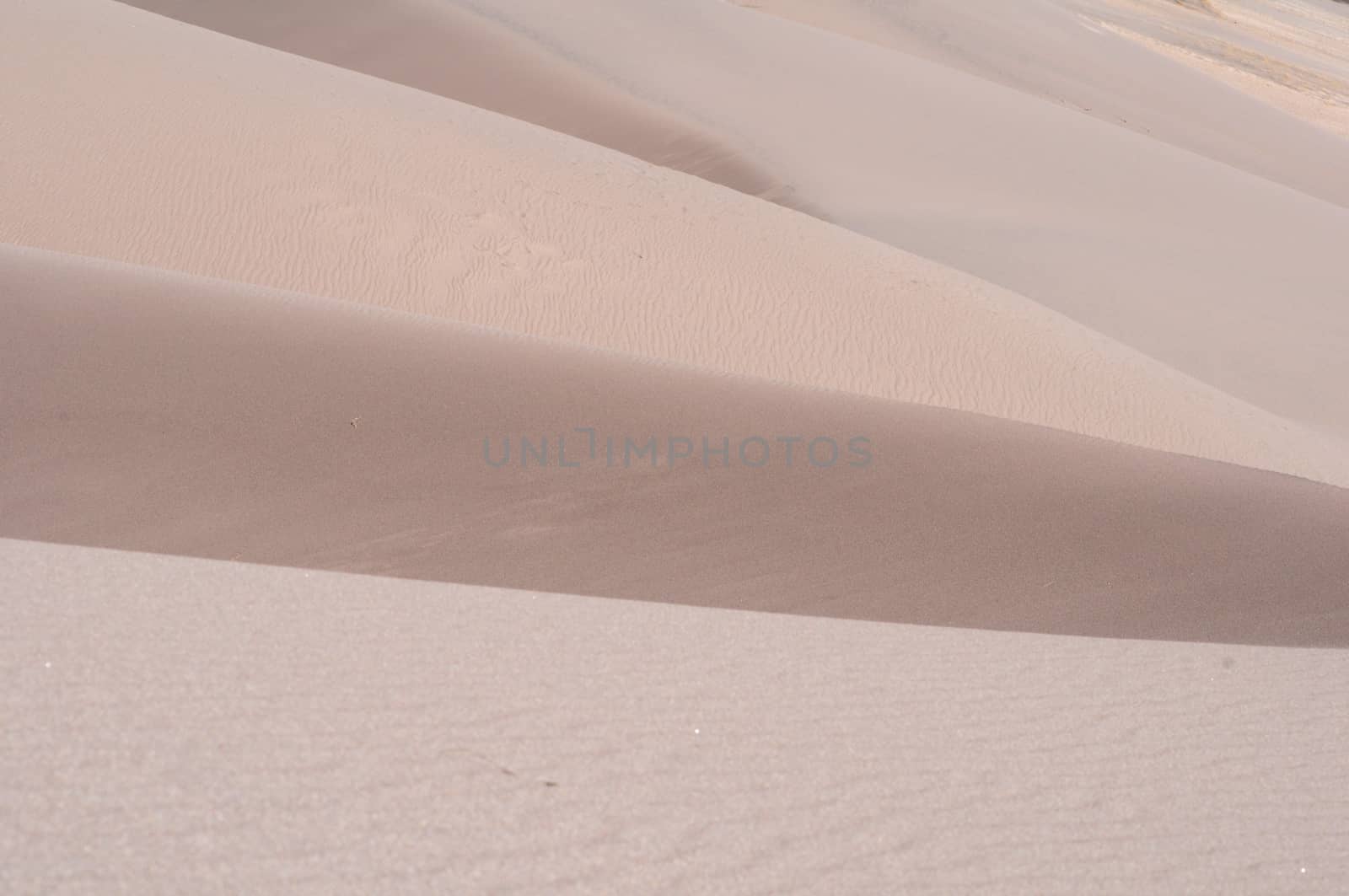 The Dunes - Dunes Background