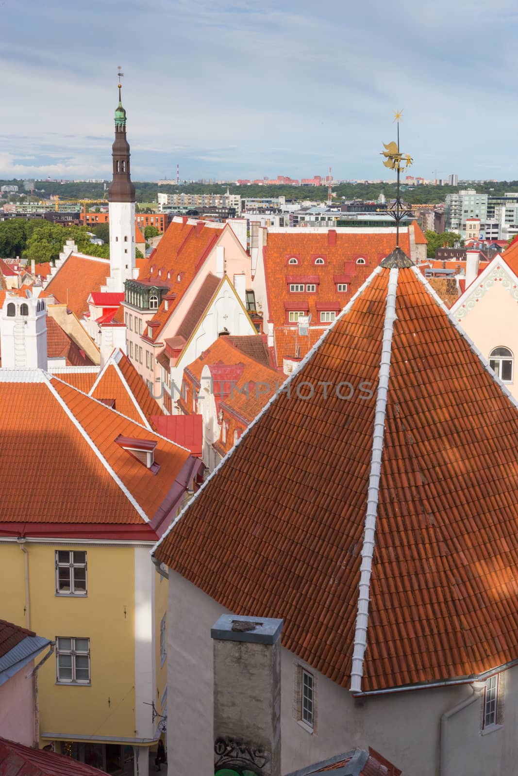 Old Town aerial view panorama in Tallinn, Estonia