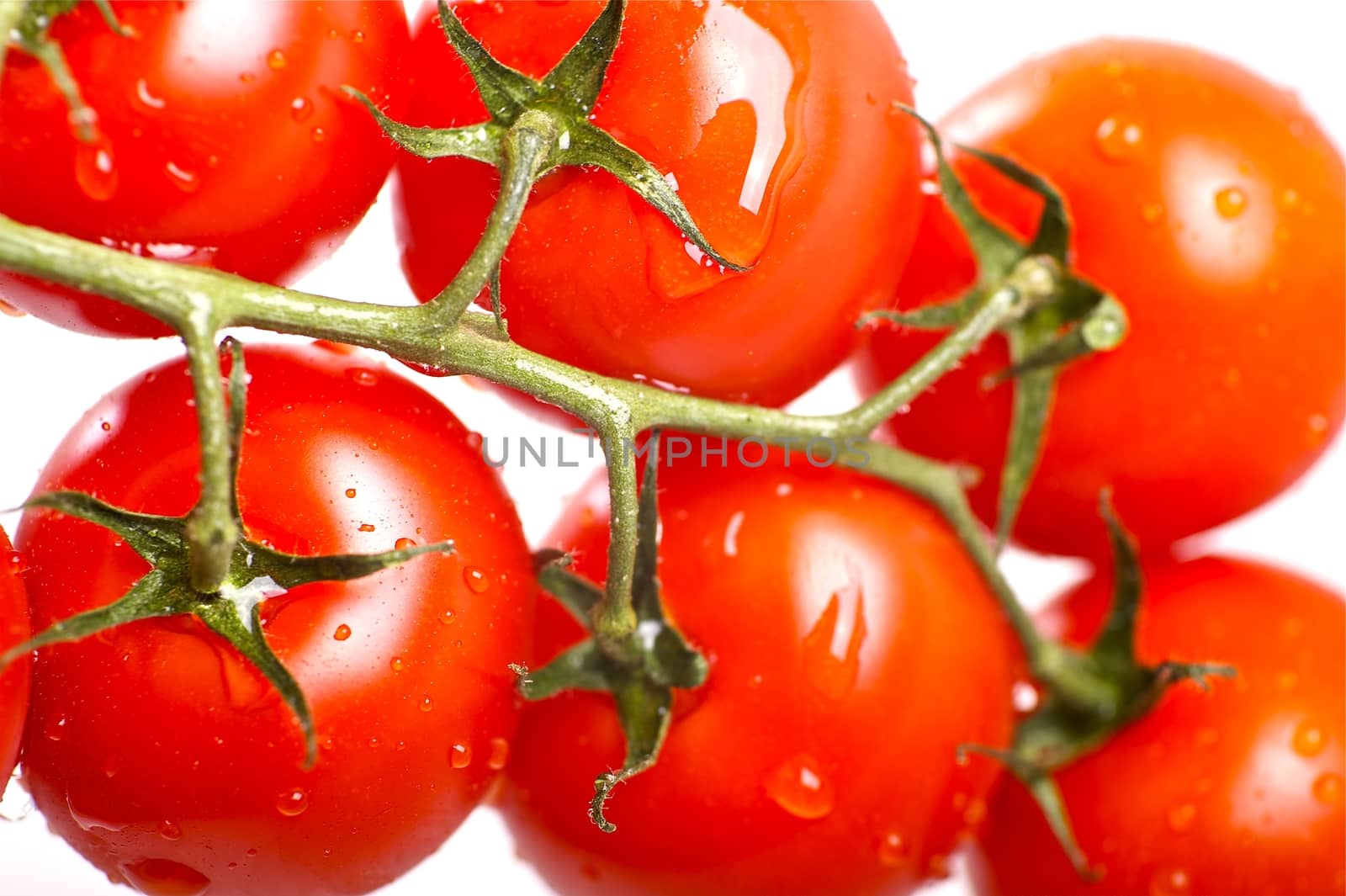 Fresh Red Tomato Fruits with Water Drops. Fresh and Healthy Vegetables. Tomatoes on Solid White Background.