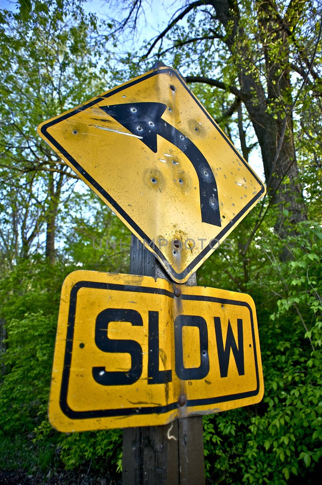 Bullet Holes Slow Down Sign Somewhere in the Wood. Damaged by Bullets Yellow Traffic Sign. Transportation Photo Collection