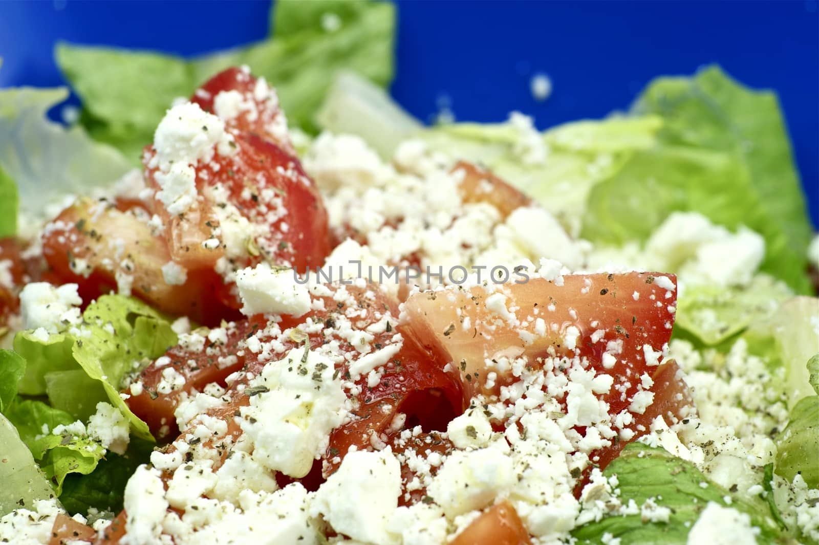 Spring Salad with Greens, Tomatoes and Feta Cheese. Tasty Appetizer