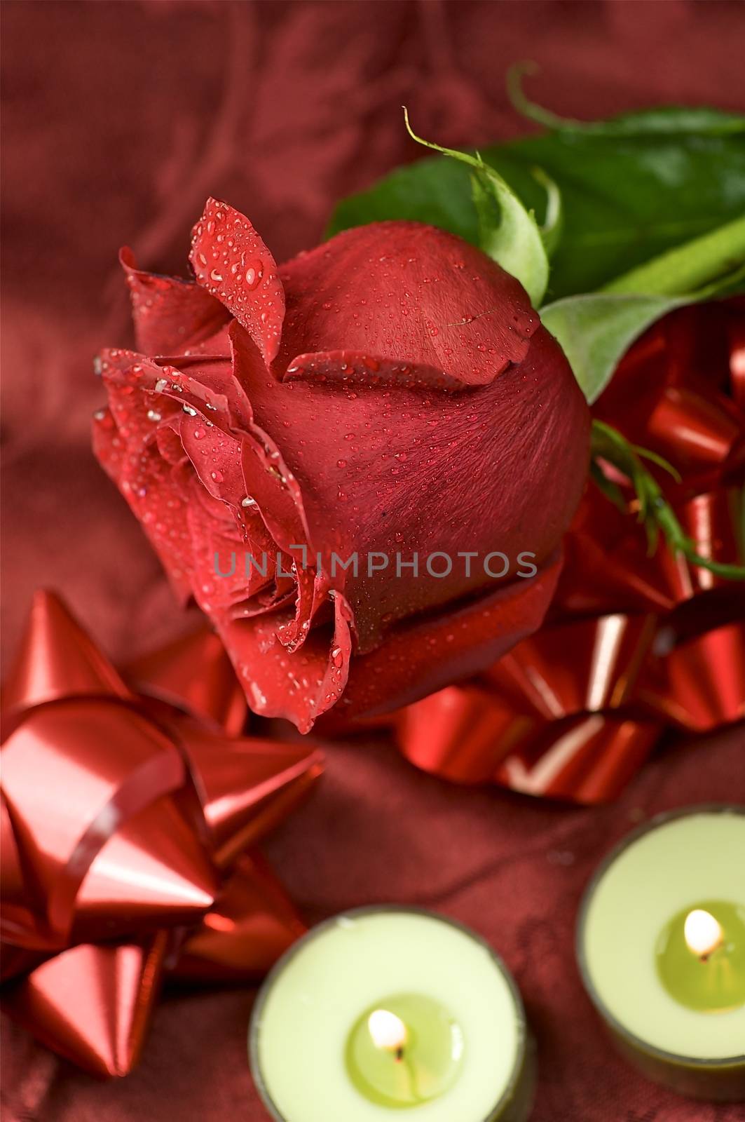 The Red Rose. Fresh Cut Red Rose and Small Green Candles.