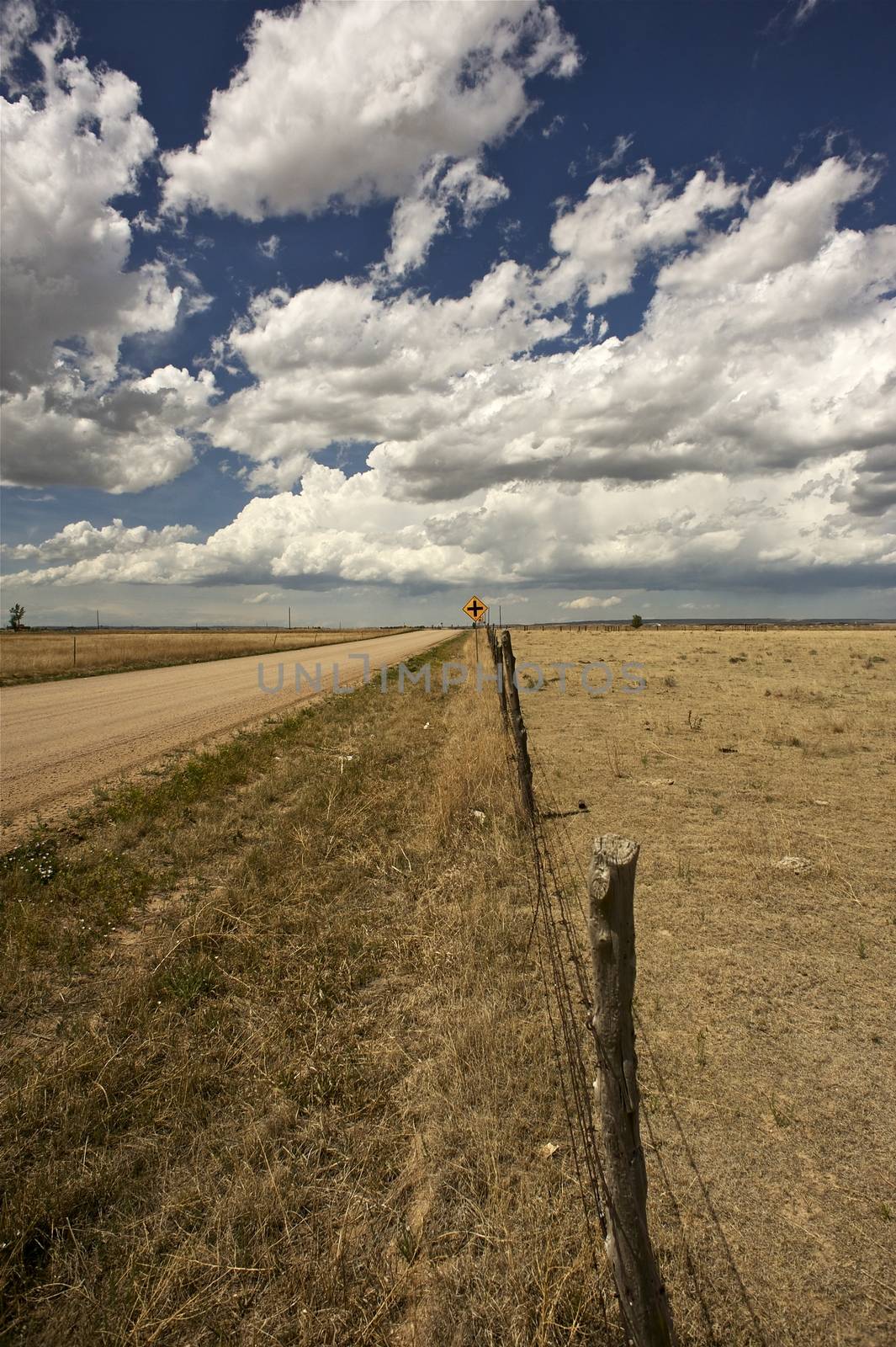Colorado Outback. Central-East Colorado State. Colorado Plains. Country Road - Summer Day. Vertical Photo.