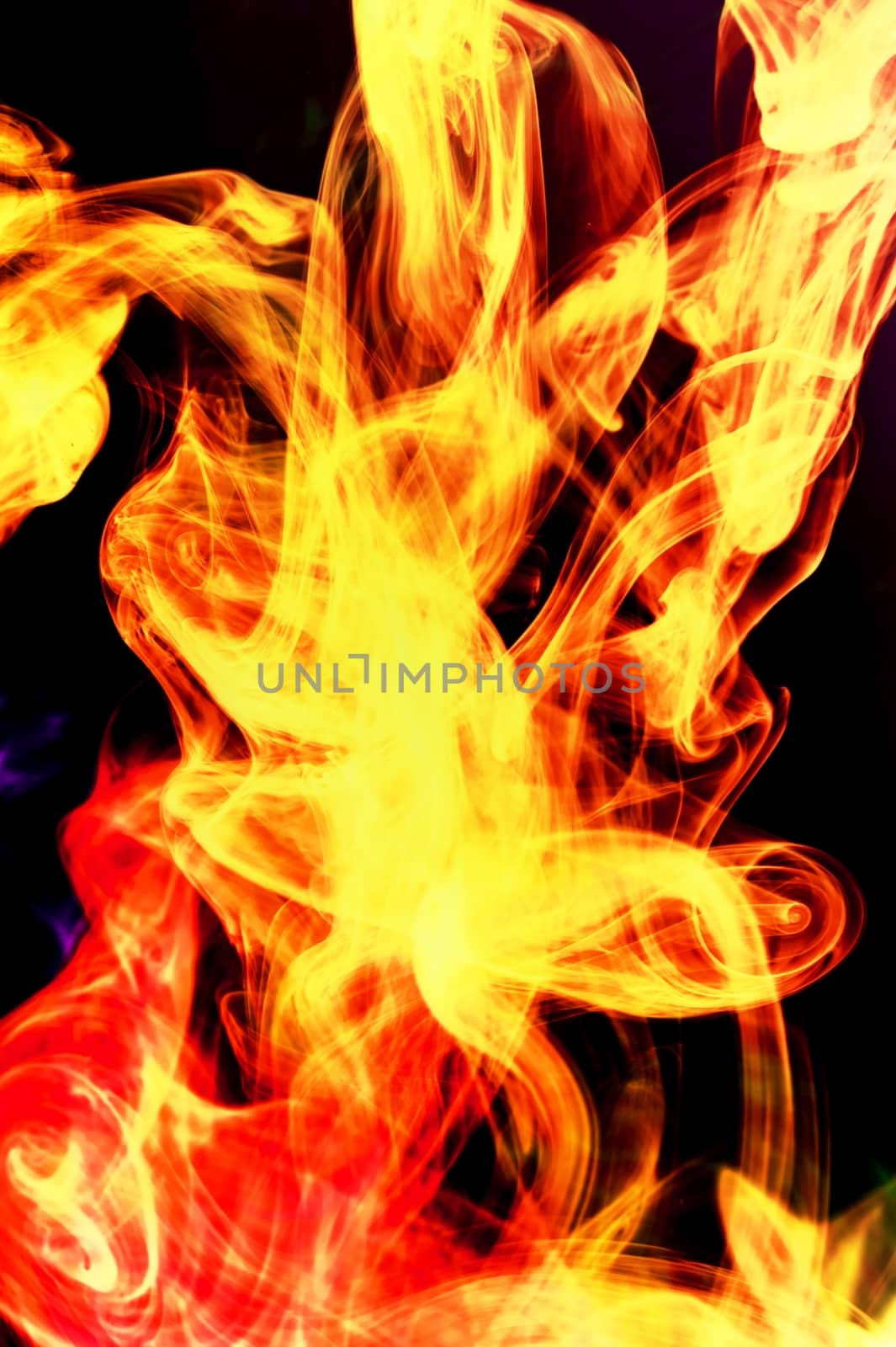 Red Flames. Abstract Flames on the Black Background. Fire Background
