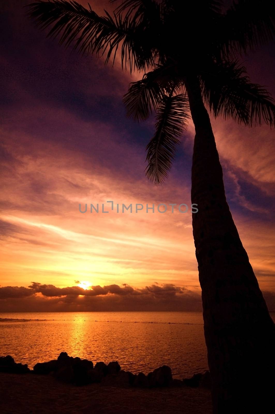 HDR Photography: Beach Sunrise. Beautiful Scenery. Natural Wonders. Florida USA. Vertical Photo