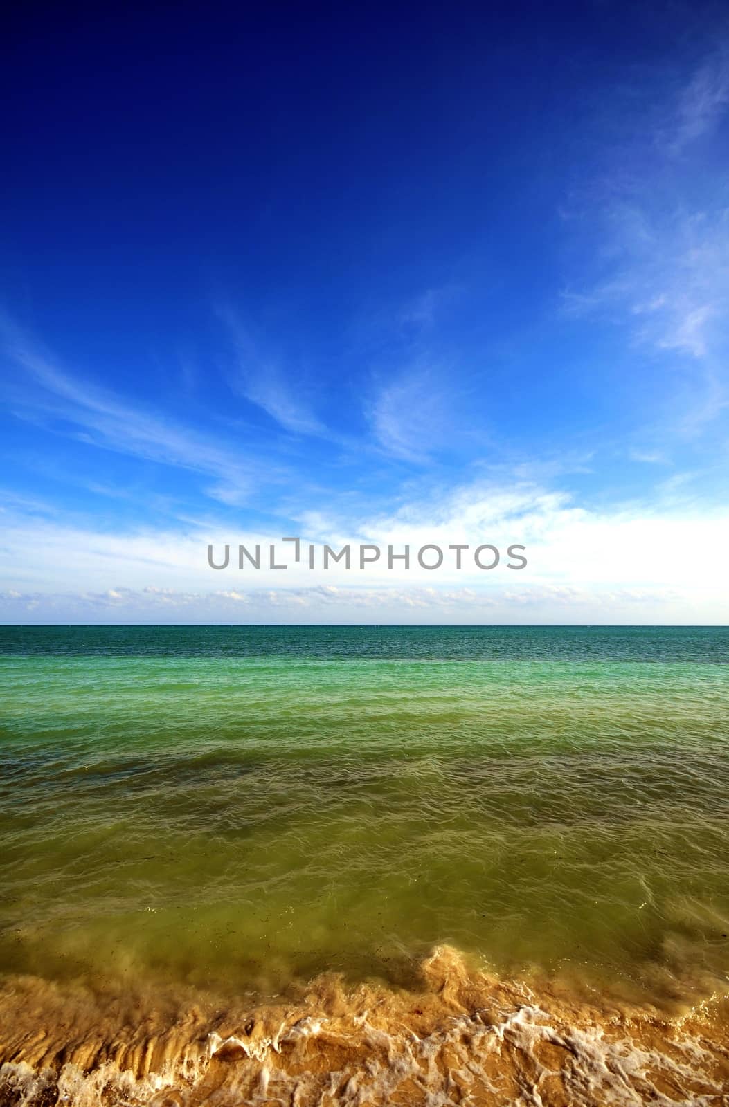 Caribbean Ocean. Clear Warm Caribbean Waters. Mostly Clear Dark Blue Caribbean Sky. Vertical Photography