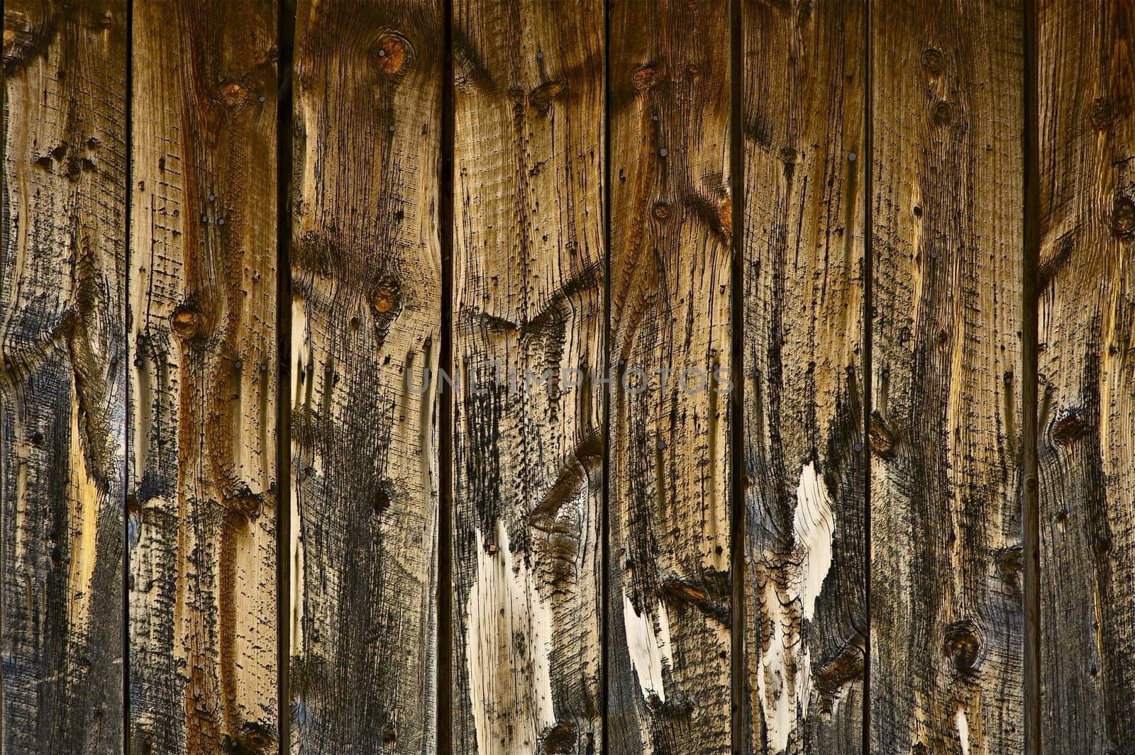 Knotted Wood Wall Background - Knotted Wood Texture