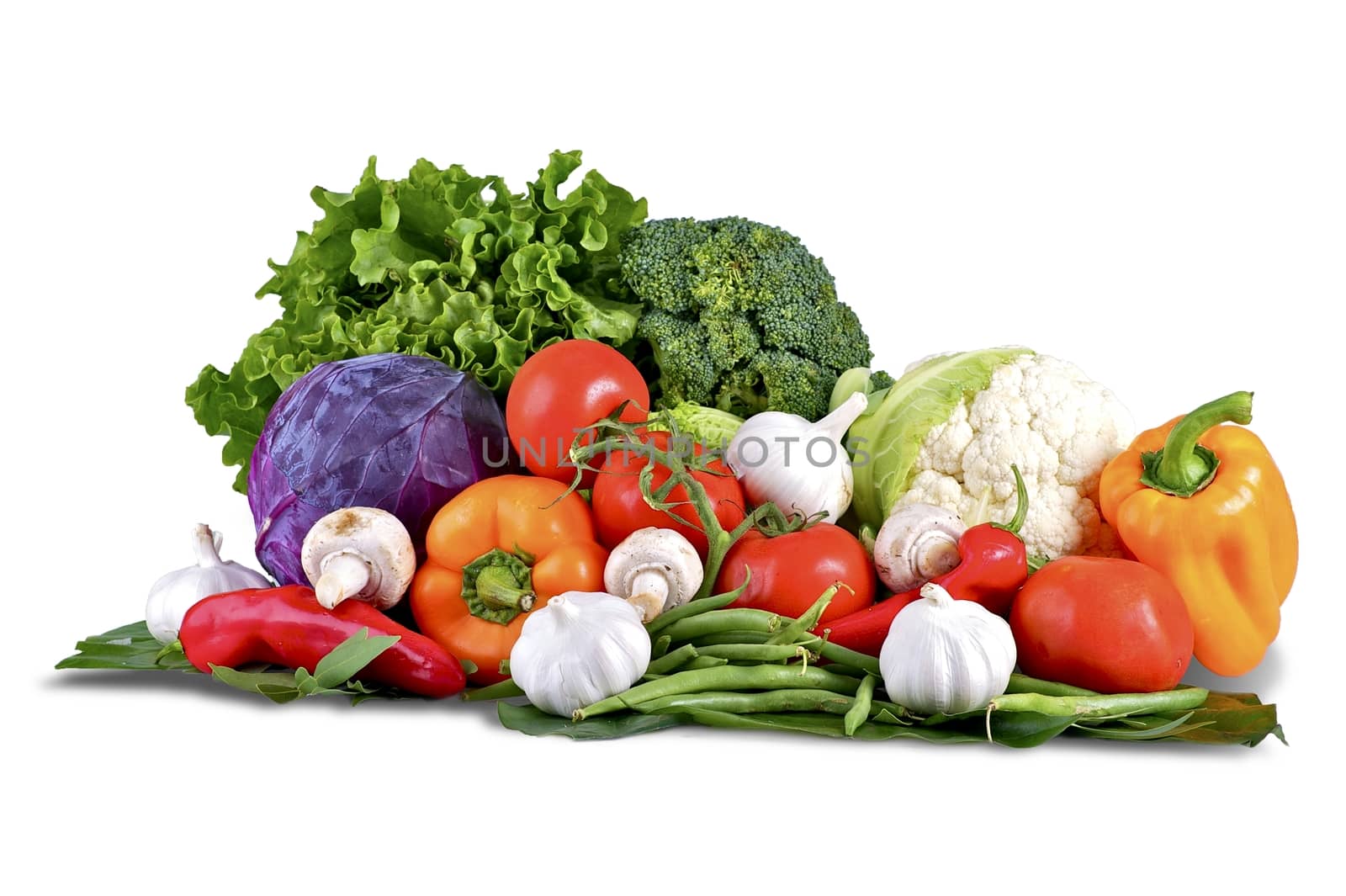 Vegetables Isolated on White. Vegetables Basket: Fresh Broccoli, Onions, Tomatoes, Paprikas, Green Beans and Other Fresh Garden Produce. Horizontal Studio Photo - Solid White Background