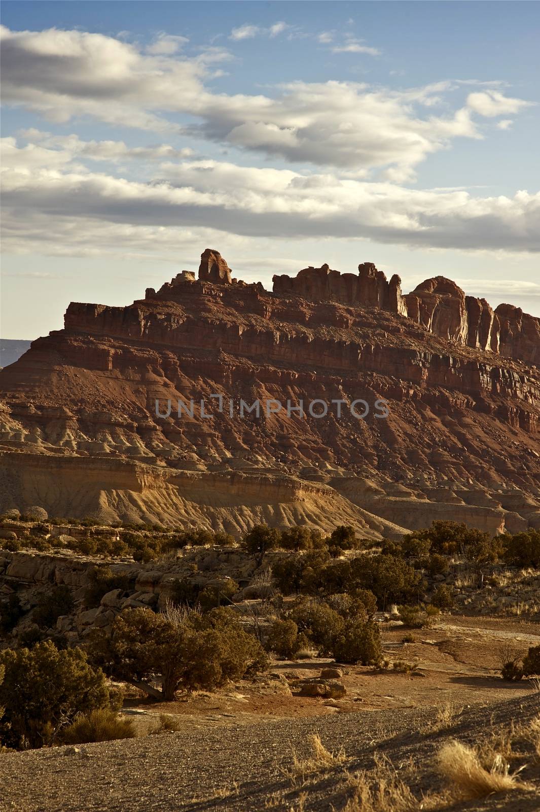 Utah State - Utah Rocky Landscape. Vertical Photo. Nature Photo Collection.