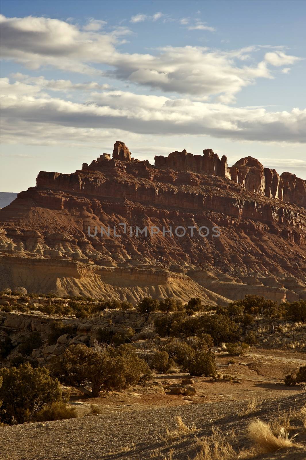 Utah State by welcomia