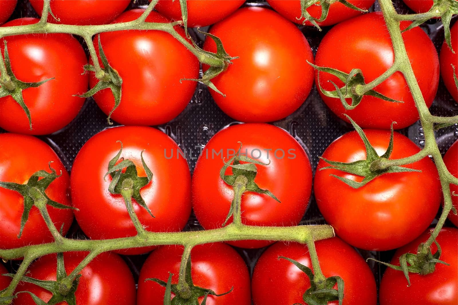Tomatoes Package. Fresh Tomatoes Package in Grocery Store. Vegetables Stock Photo