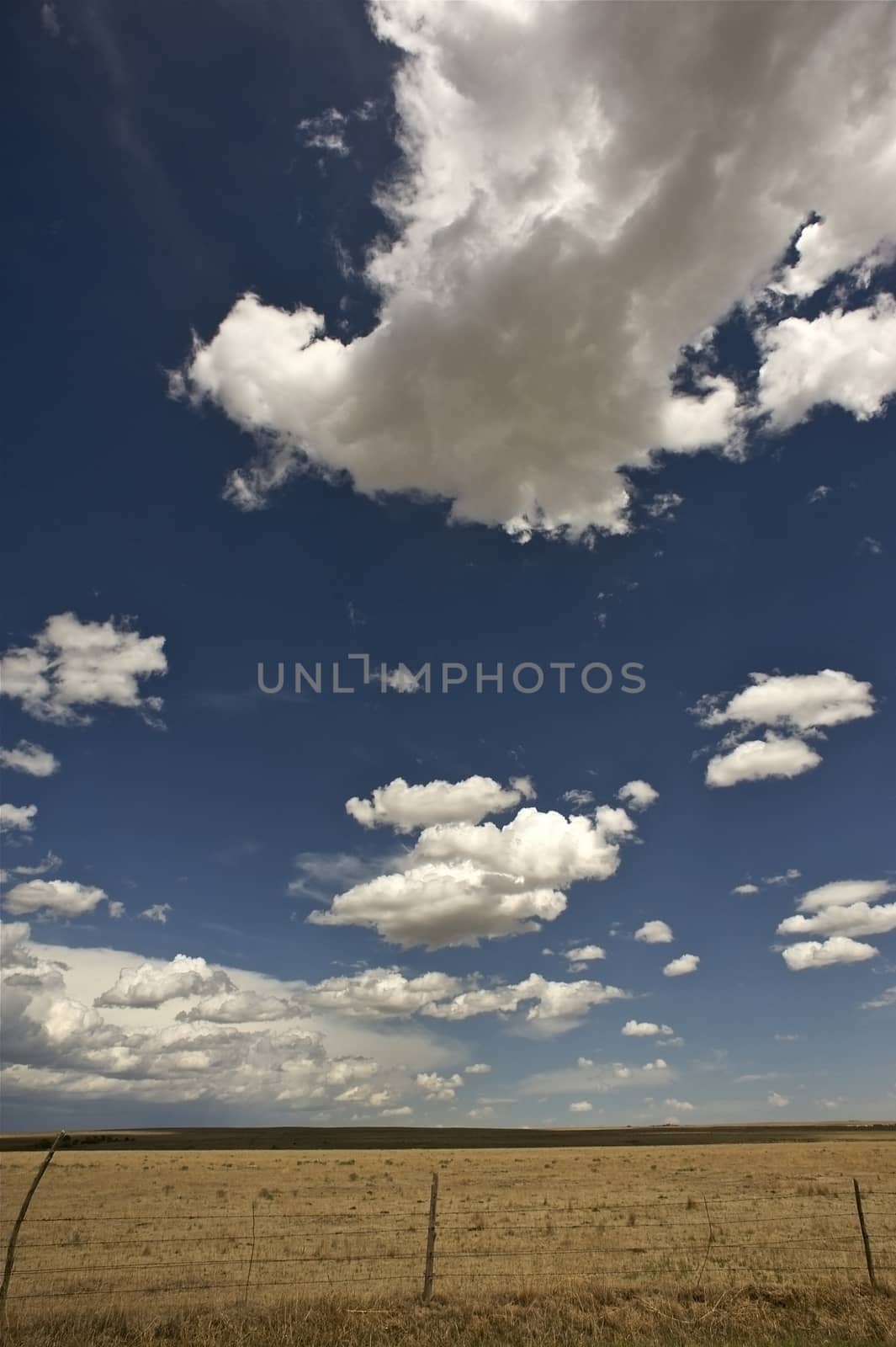 West Kansas State - American Great Plains. Dry Sunny Summer Day. Vertical Photo. Nature Photo Collection