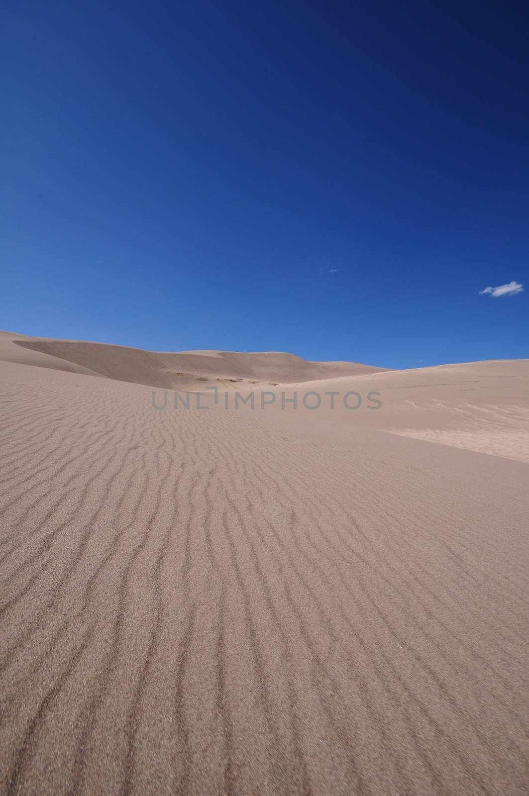Desert Pattern. Sand Dunes and Clear Blue Sky