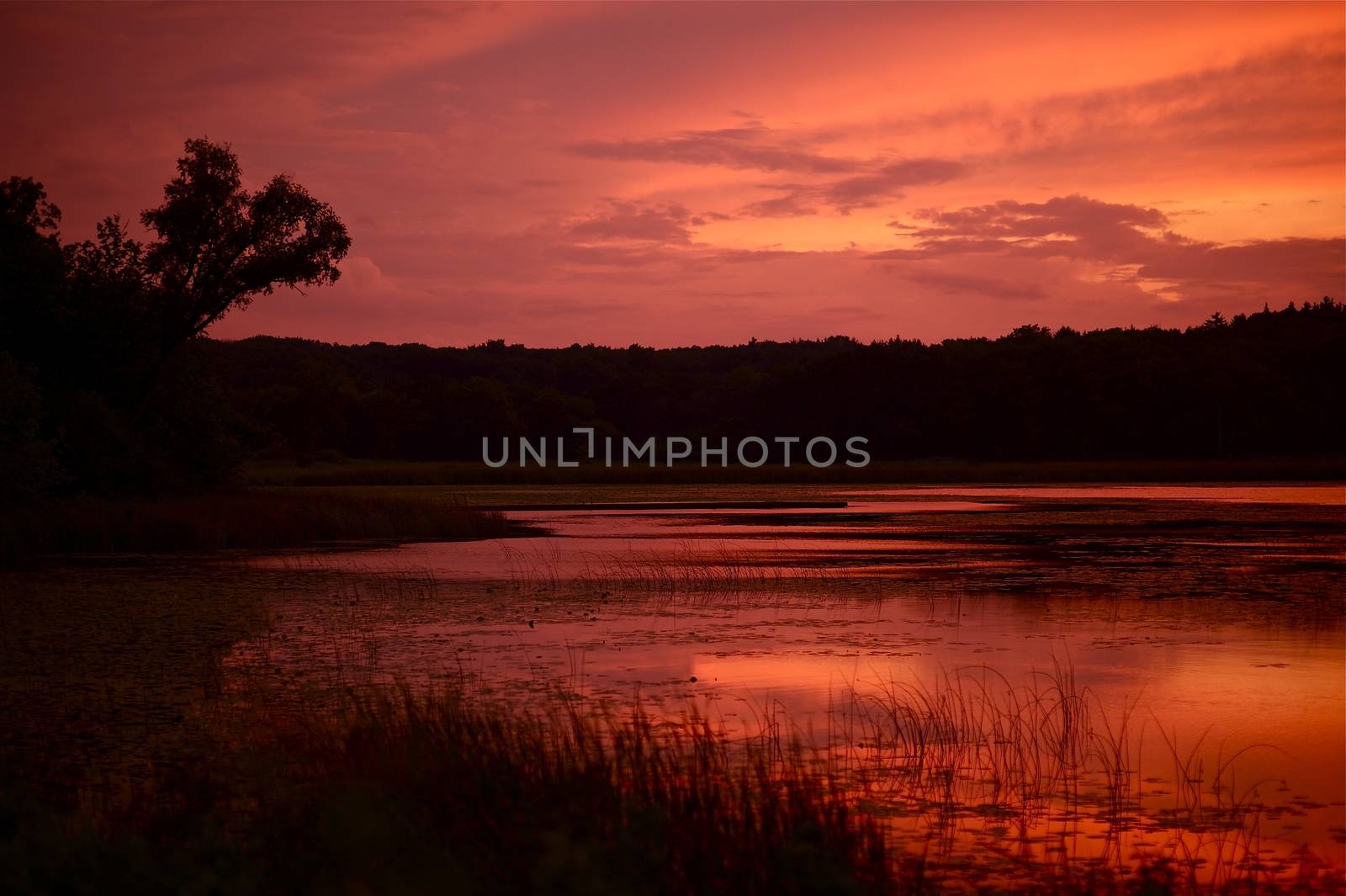 Grass Lake. Small Lake in Illinois State, USA. Chain O\'Lakes State Park. Lake and Sunset. Horizontal Photography