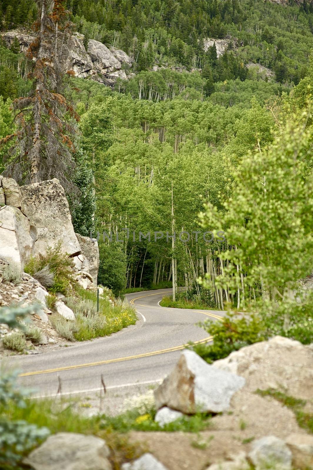 Aspen Road. Road to Independent Pass near Aspen, Colorado USA