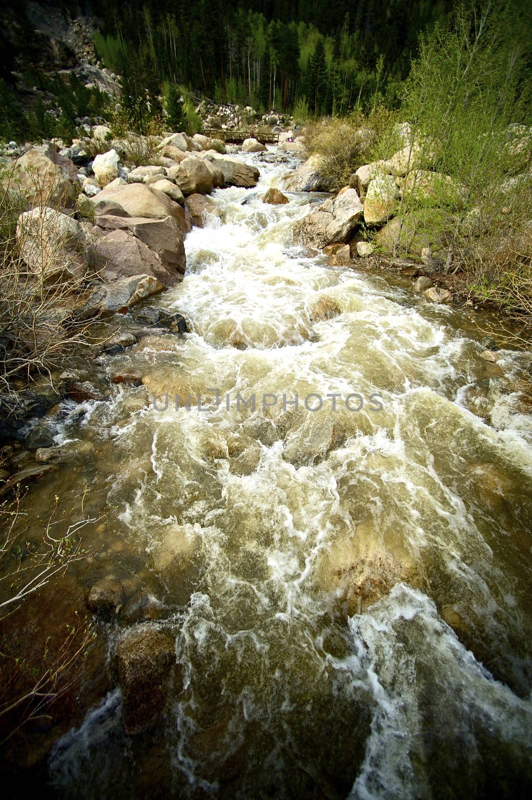 Seasonal Mountains Spring Stream. Colorado USA. Vertical Photo.